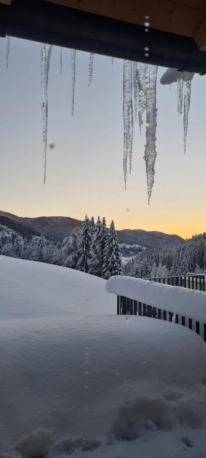Penthouse Skyview Im Natur-Erlebnispark Bad Kleinkirchheim Patergassen ภายนอก รูปภาพ