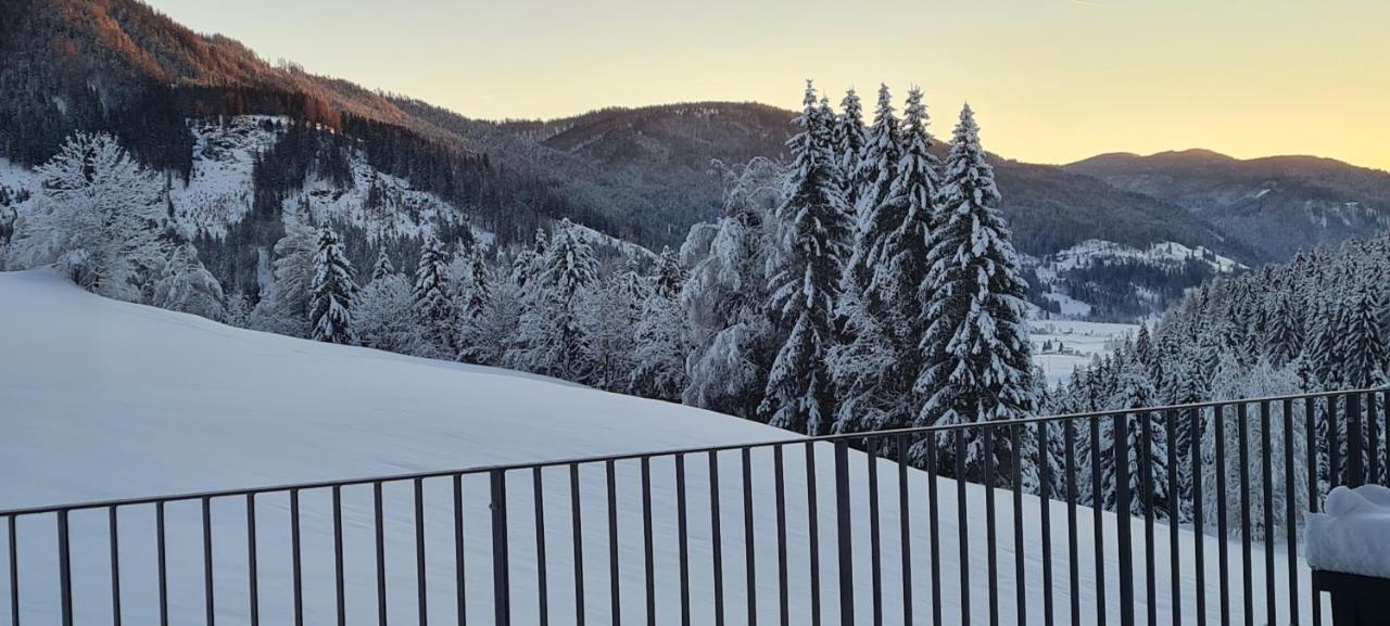 Penthouse Skyview Im Natur-Erlebnispark Bad Kleinkirchheim Patergassen ภายนอก รูปภาพ